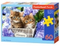 puzzle-cute-kittens-60.jpg