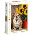 puzzle-high-quality-collection-the-bulldog-1000.jpg
