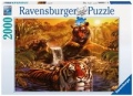 puzzle-kapiel-tygrysow-2000.jpg