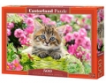 puzzle-kitten-in-flower-garden-500.jpg