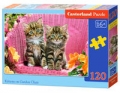 puzzle-kittens-on-garden-chair-120.jpg