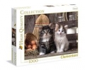 puzzle-lovely-kittens-1000.jpg