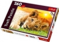 puzzle-lwiatko-260.jpg