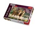 puzzle-lwy-1500.jpg