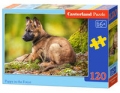 puzzle-puppy-in-the-forest-120.jpg