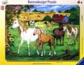 puzzle-ramkowe-46-konie-na-padoku.jpg