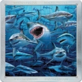 puzzle-rekiny-3d-64-elementy.jpg