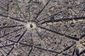 puzzle-sky-views-paris-1000-elementow.jpg