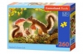 puzzle-squirrel-s-forest-life-260.jpg