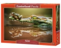 puzzle-the-daredevil-frog-500.jpg