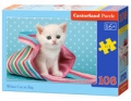 puzzle-white-cat-in-bag-108.jpg