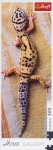puzzle-wygrzewajaca-sie-jaszczurka-300.jpg