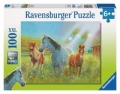 puzzle-xxl-konie-na-pastwisku-100.jpg