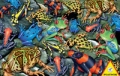 puzzle-zaby-1000.jpg