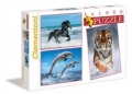 puzzle-zwierzeta-3x1000.jpg