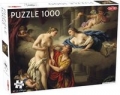 pygmalion-and-his-statue-puzzle-1000.jpg