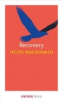 recovery.jpg