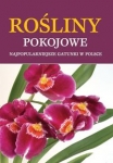 rosliny-pokojowe-5.jpg