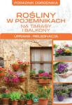 rosliny-w-pojemnikach-1.jpg