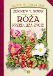 roza-przedluza-zycie.jpg