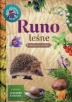 runo-lesne-mlody-obserwator-przyrody-1.jpg