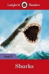 sharks-level-3.jpg