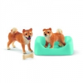 shiba-inu-matka-i-szczenieta.jpg