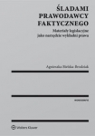 sladami-prawodawcy-faktycznego.jpg