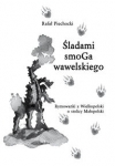 sladami-smoga-wawelskiego.jpg
