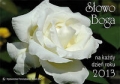 slowo-boga-na-kazdy-dzien-roku-2013-roza.jpg