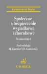 spoleczne-ubezpieczenia-wypadkowe-i-chorobowe.jpg