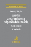 spolka-z-ograniczona-odpowiedzialnoscia-komentarz-1.jpg