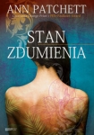 stan-zdumienia.jpg