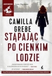 stapajac-po-cienkim-lodzie.jpg
