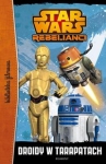 star-wars-droidy-w-tarapatach.jpg