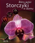 storczyki-w-domu-1-1.jpg