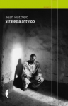strategia-antylop-1.jpg