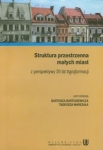 struktura-przestrzenna-malych-miast.jpg