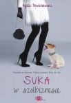 suka-w-szolbiznesie.jpg