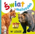 swiat-maluszka-w-lesie.jpg