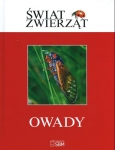swiat-zwierzat-owady-2.jpg