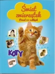 swiat-zwierzatek-koty.jpg