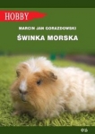 swinka-morska-5.jpg