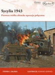 sycylia-1943-pierwsza-wielka-aliancka-operacja-polaczona.jpg