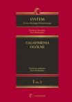 system-prawa-karnego-procesowego-tom-1-zagadnienia-ogolne-czesc-2.jpg