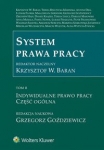 system-prawa-pracy-tom-2-indywidualne-prawo-pracy-czesc-ogolna.jpg