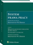 system-prawa-pracy-tom-9-miedzynarodowe-publiczne-prawo-pracy-standardy-globalne.jpg