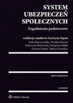 system-ubezpieczen-spolecznych-zagadnienia-podstawowe-4.jpg