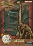 szkielet-dinozaura-brachiozaur.jpg