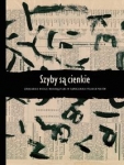 szyby-sa-cienkie.jpg